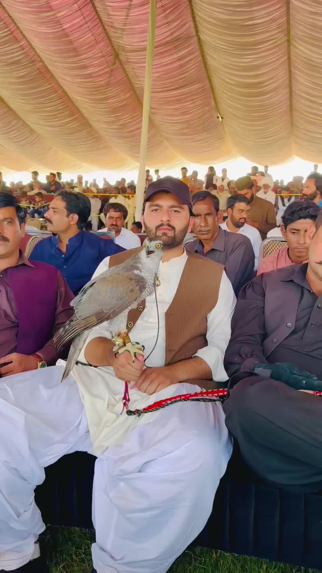 @zabitzamankhan786