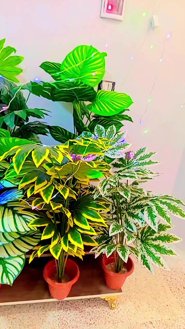 @♡الأمـᬼ🦋᭄᭄ᬼـل بالله ♡