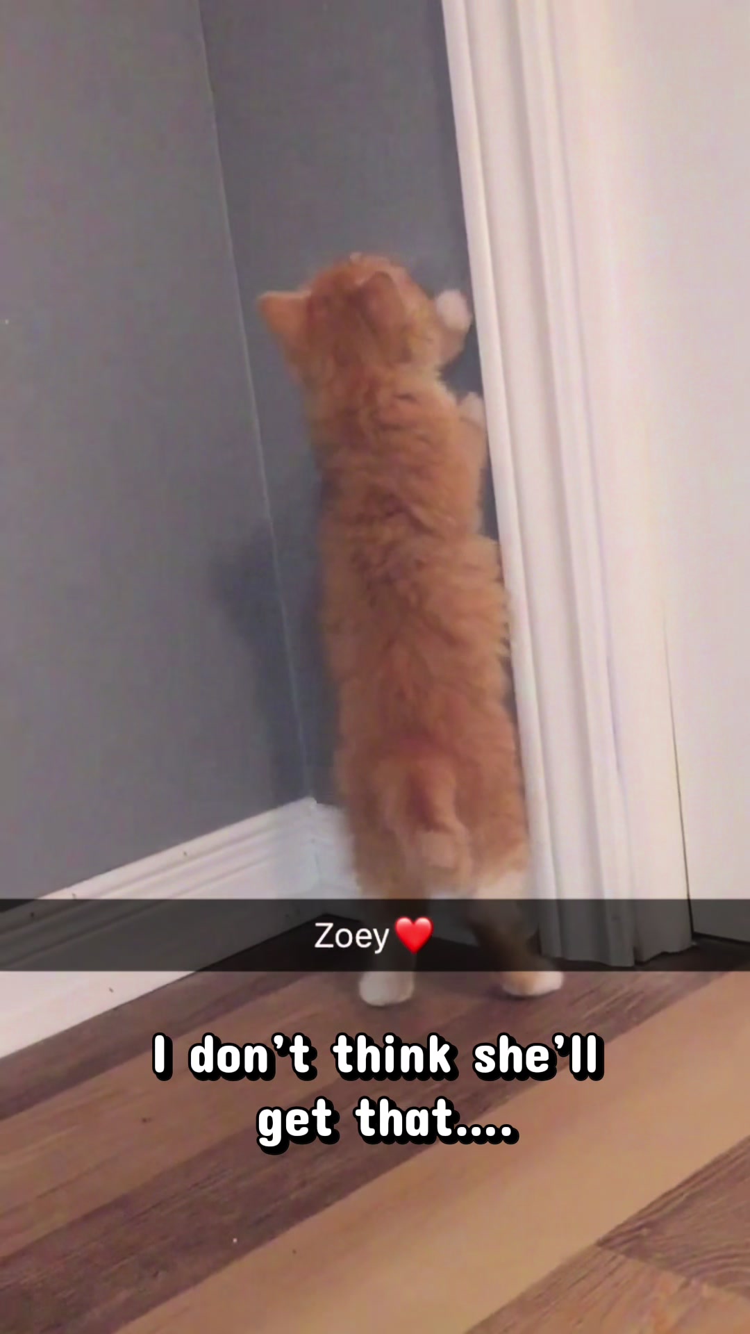 @Zoey