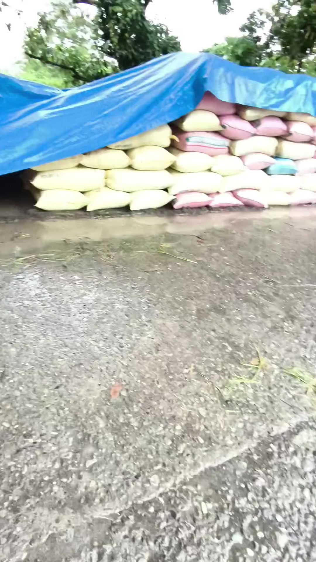 @•PaÜ•