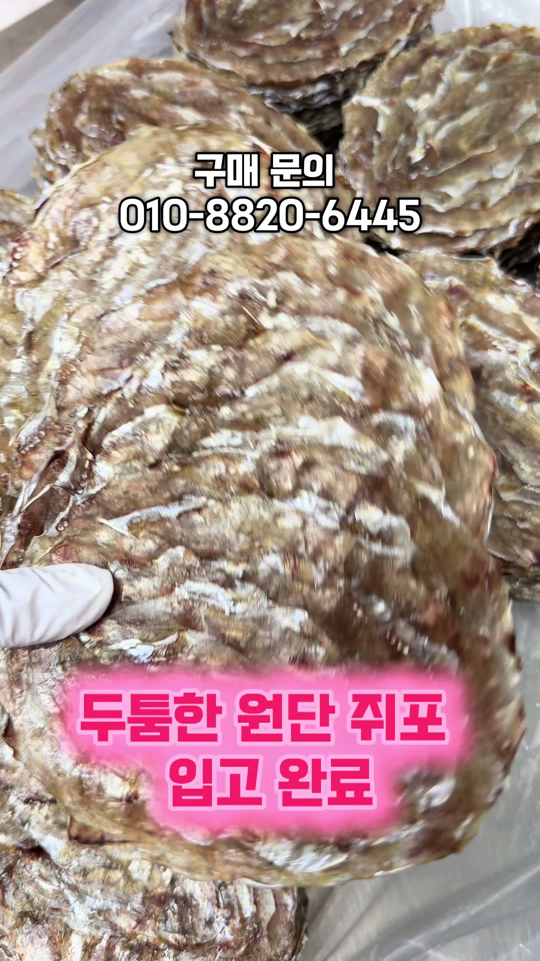 @숭사장건어물(서산건어물)🦑
