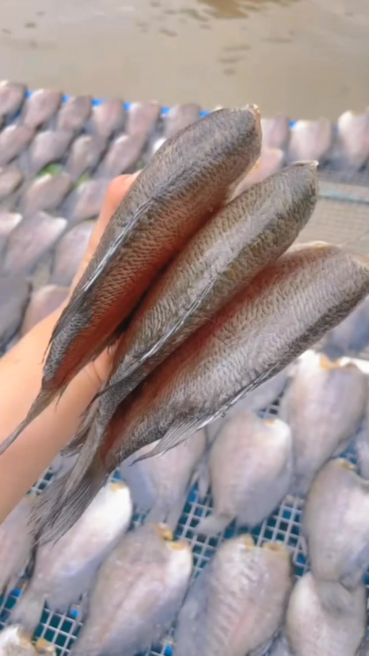 @FB:Quốc Khánh