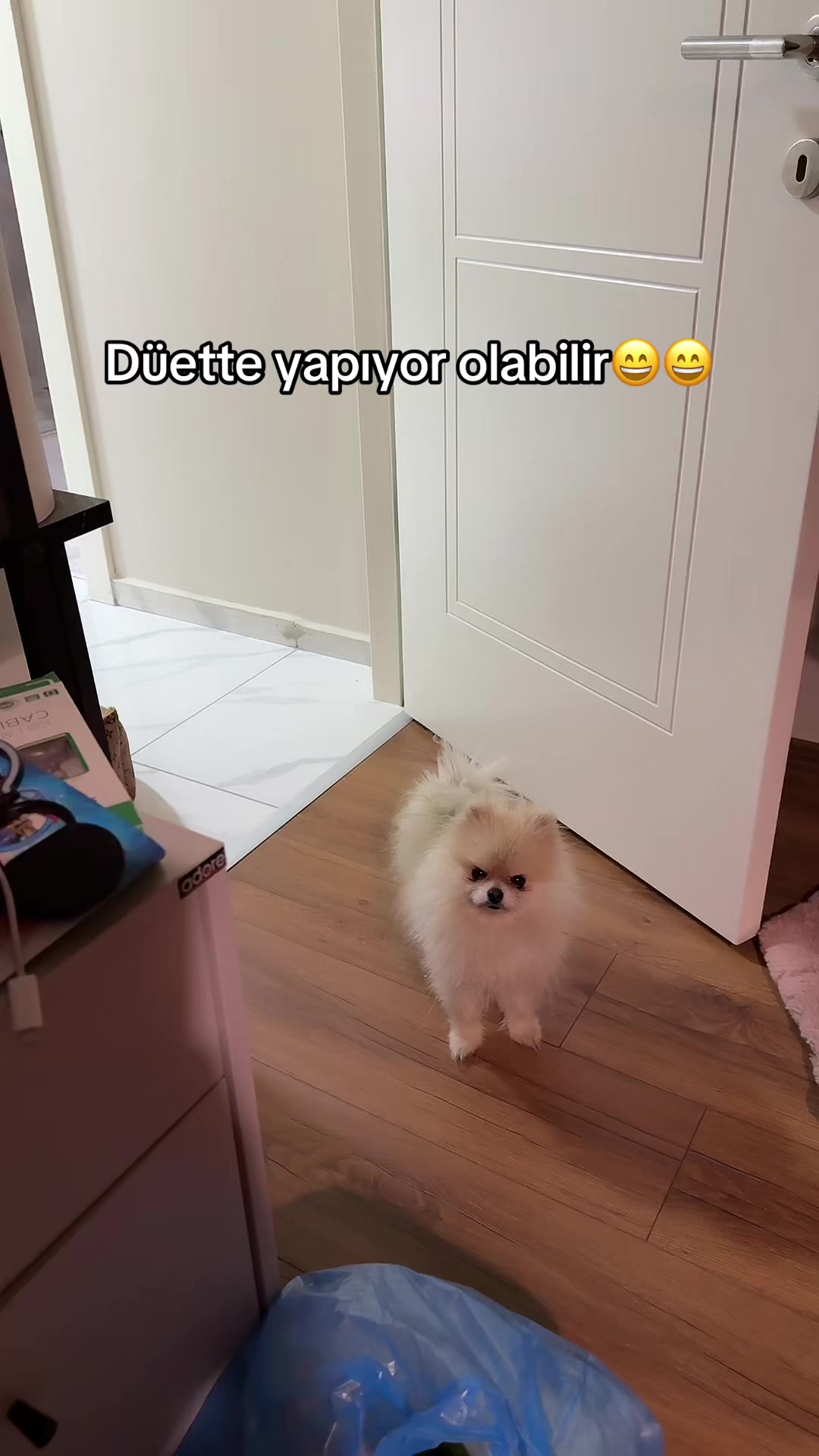 @🎀YELİZLOVE🎀