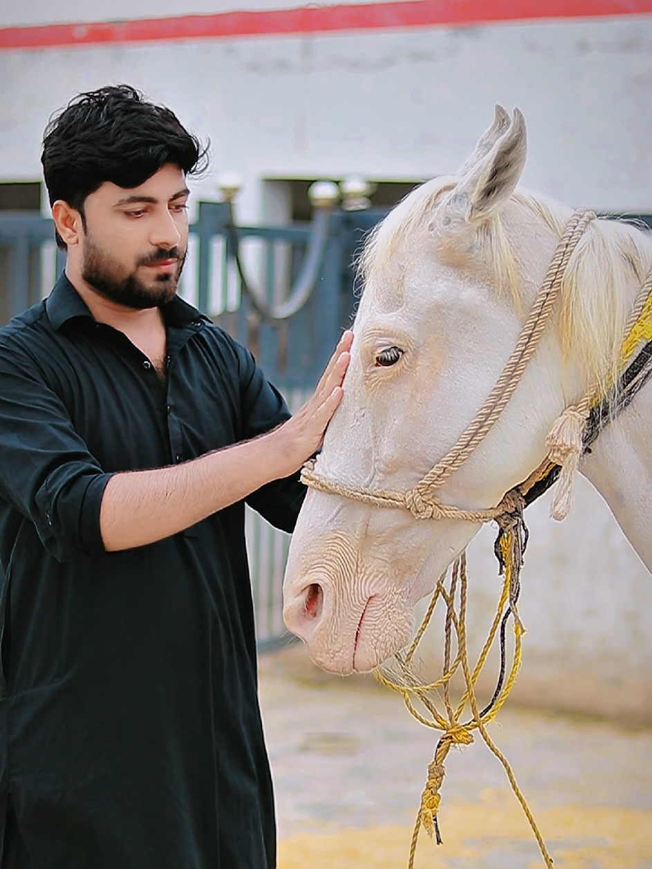@👑عزیر~Pathan🤍🌼