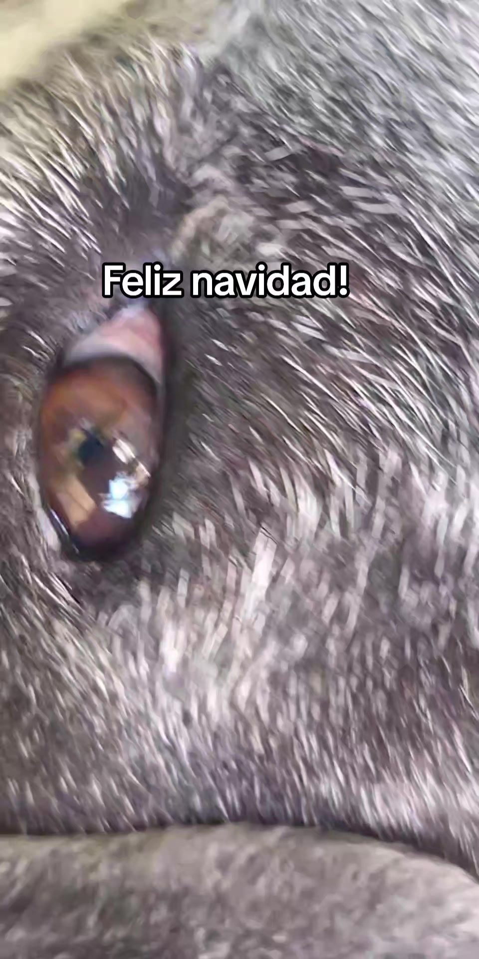 @MANCHAS 0714 OFICIAL