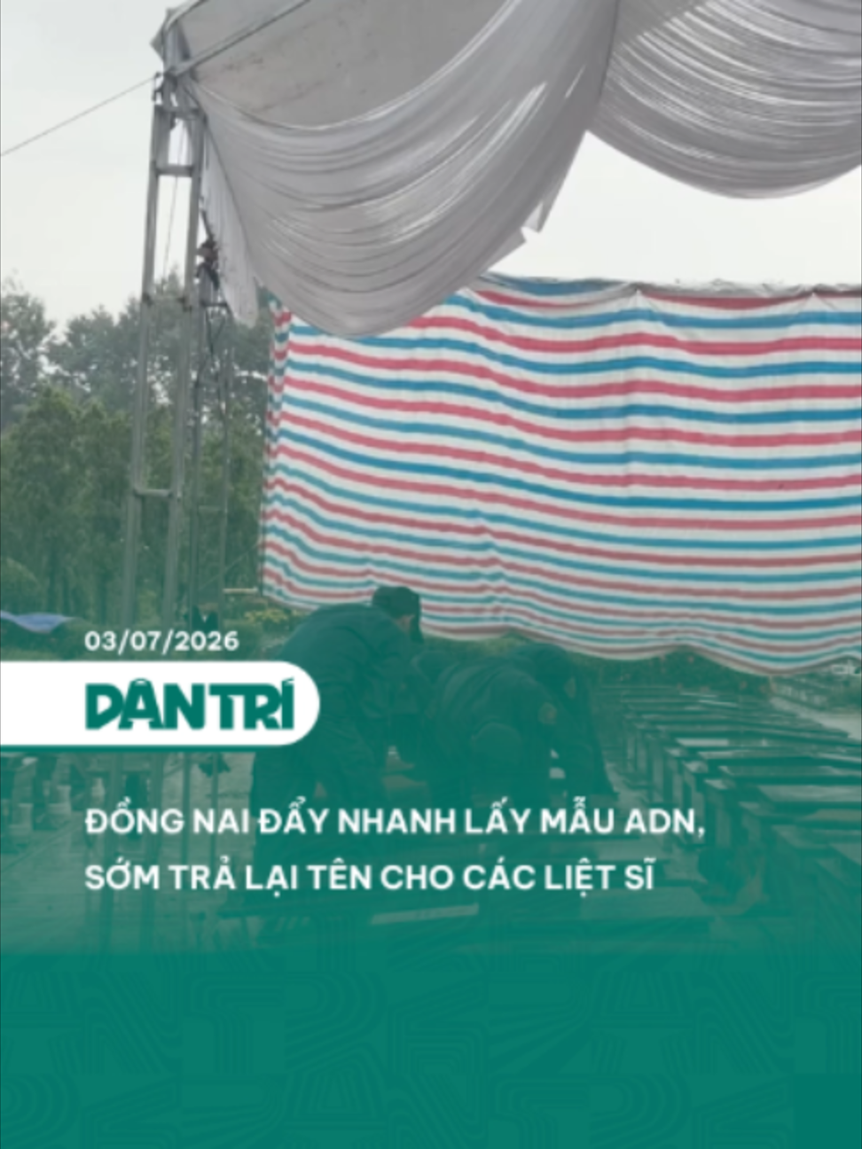 @D&acirc;n Tr&iacute;