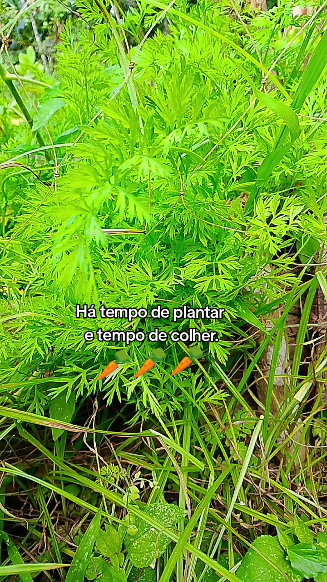 @Jisllany🍀🤞