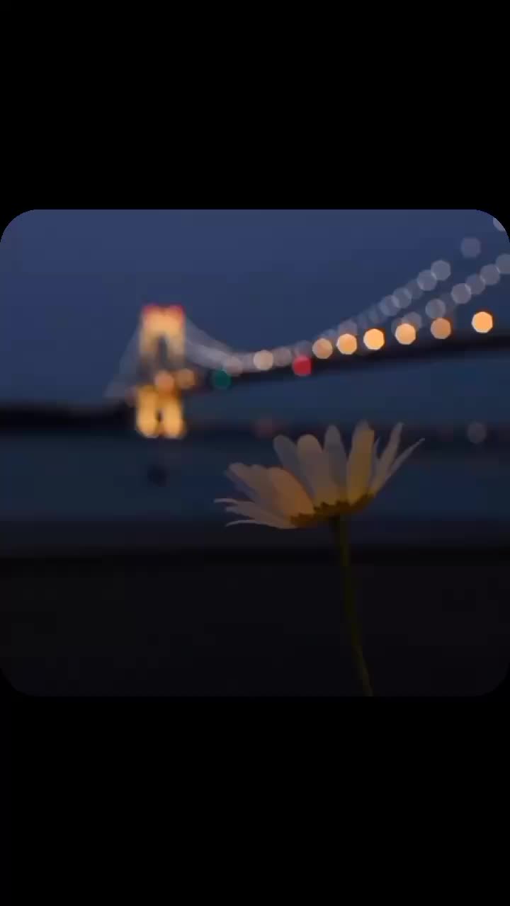 @𝓐𝓲𝔃𝓾🥀
