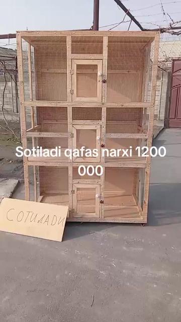 @BAXODIR
