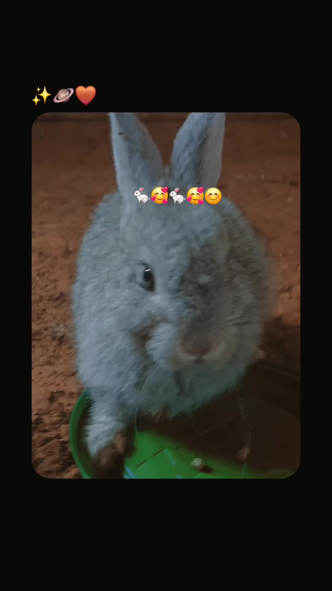 @@ leandra ch🥰😍