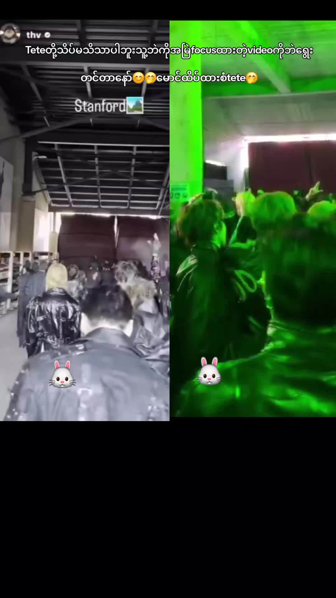 @💚🐯🐯 TeTeGuGu🐰🐰💜