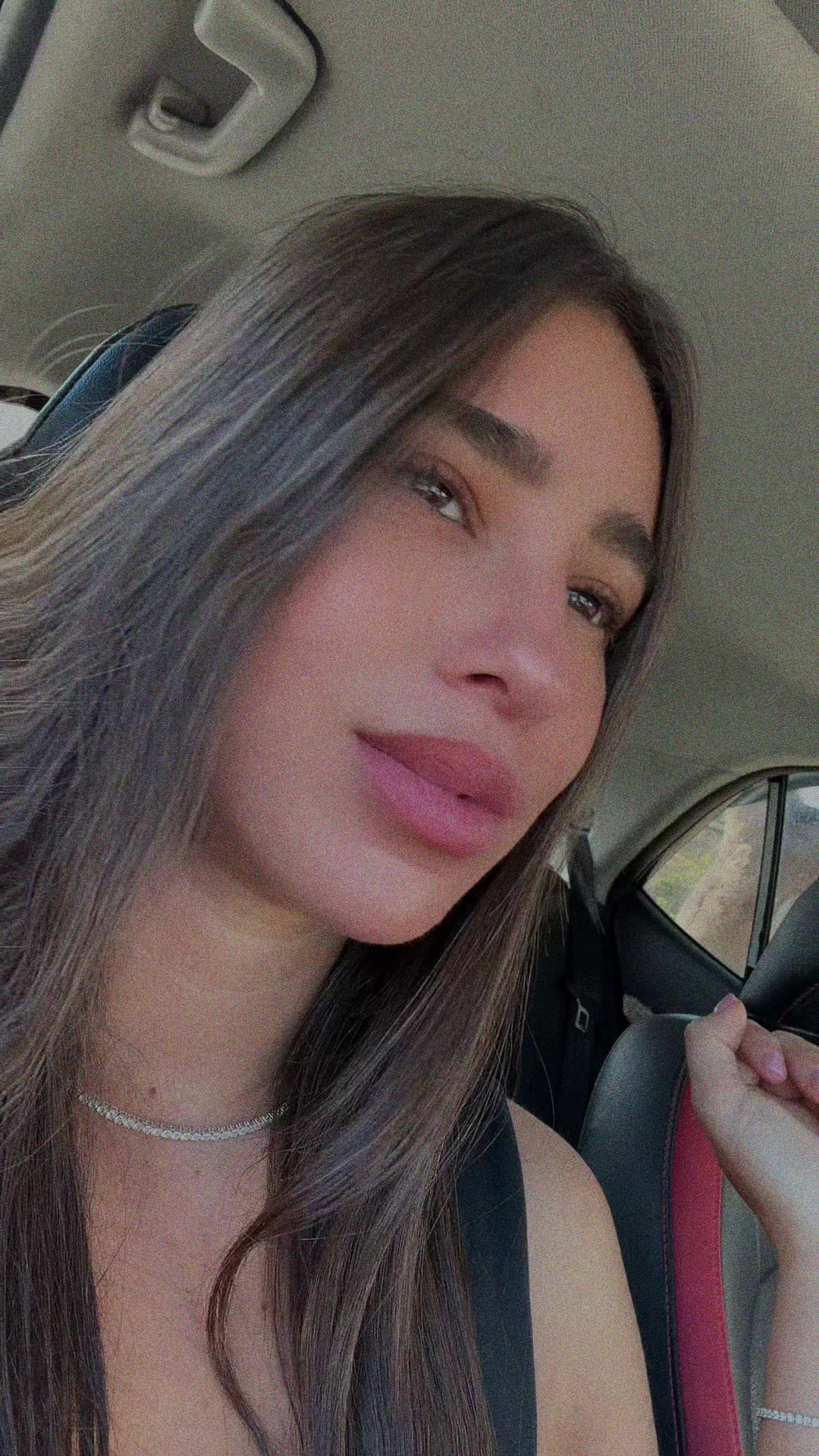 @Sapir Dino
