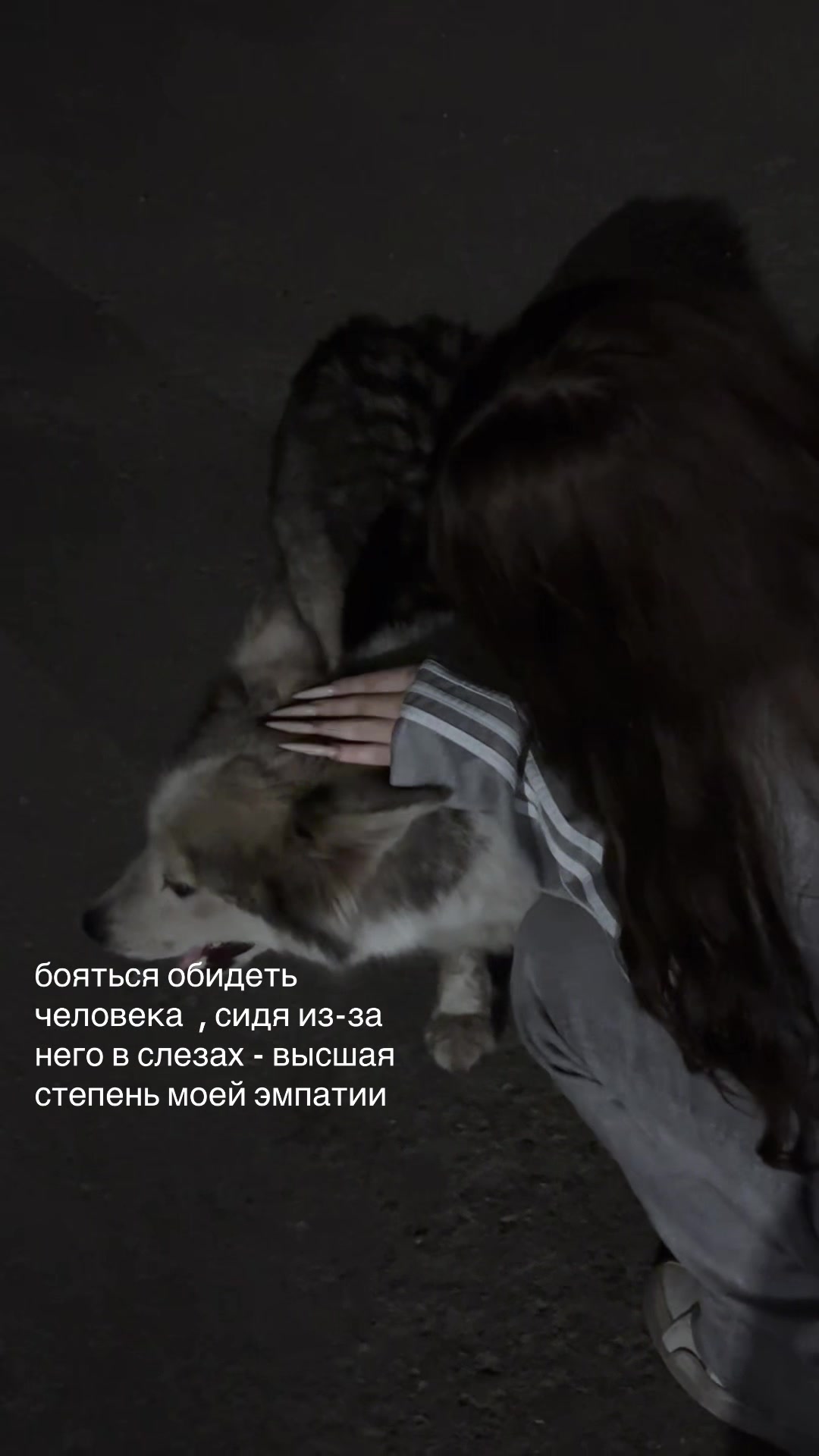 @ddshh_0702