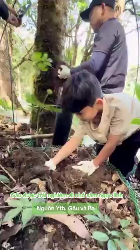 @Chanel Nguyễn
