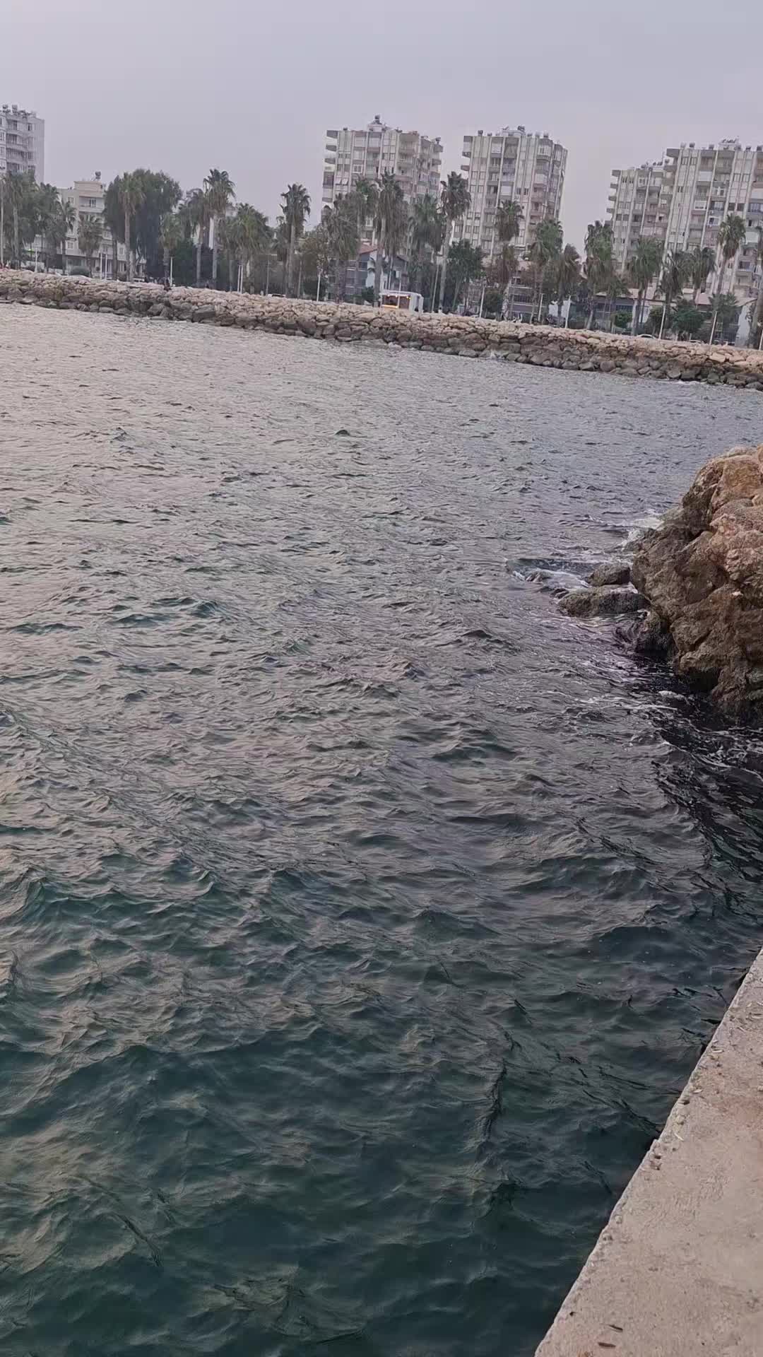 @KANCO HİZOL