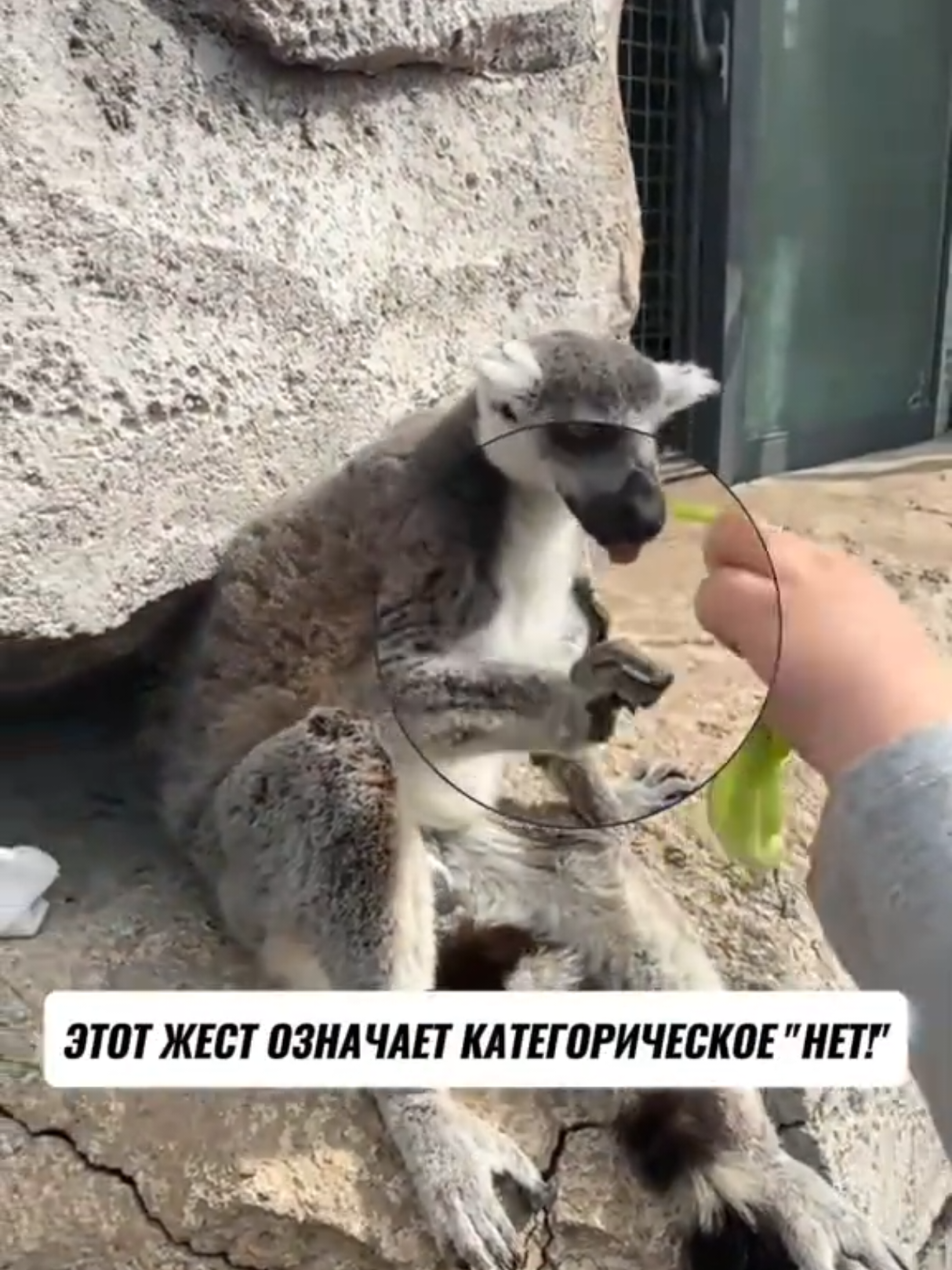 @RescueAnimals Nir