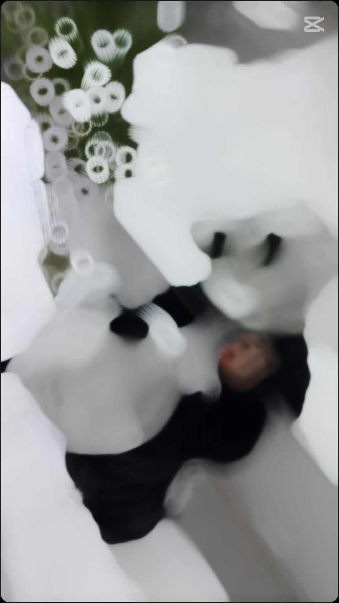 @ديما.