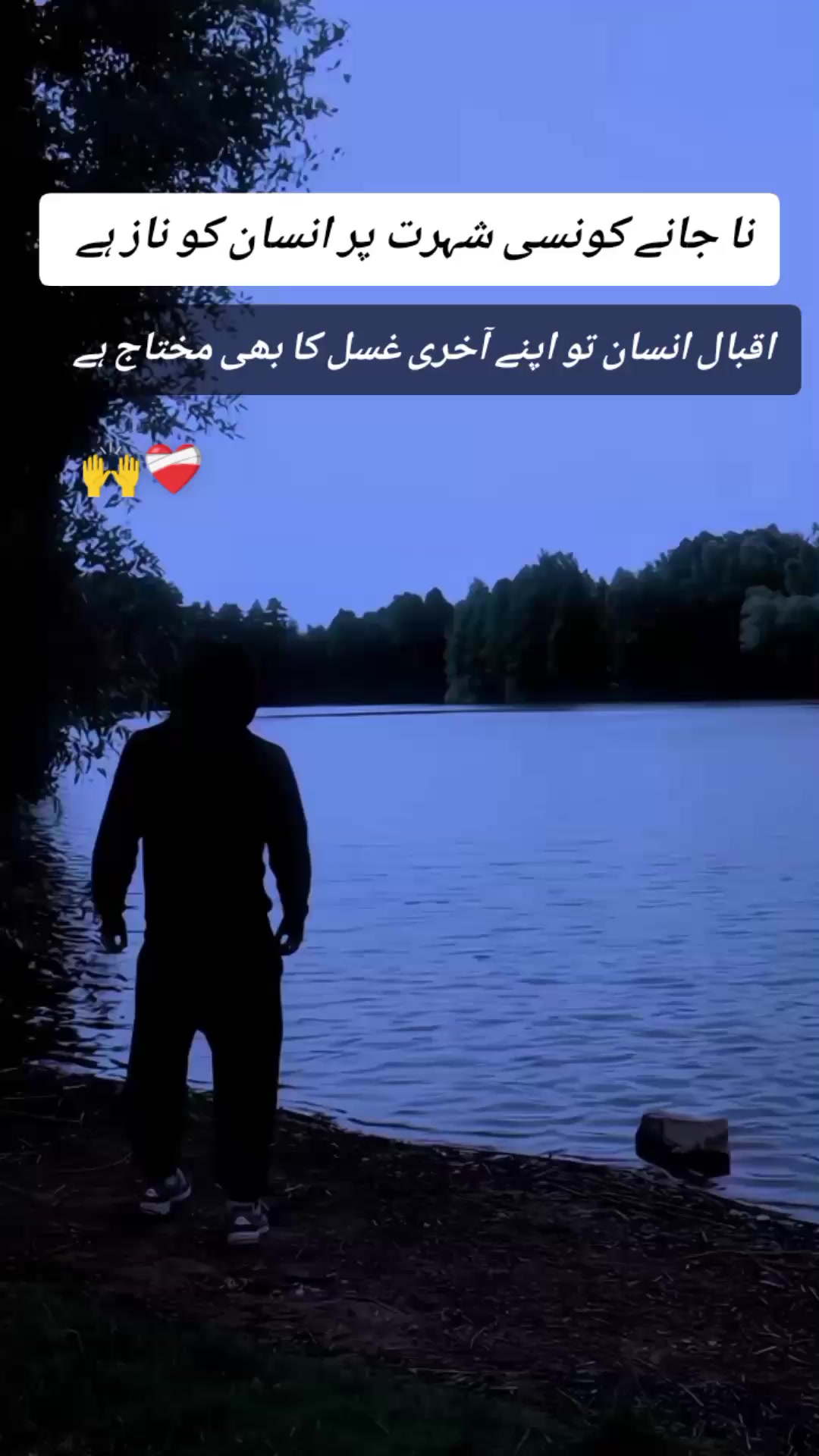 @حیدر🇶🇦