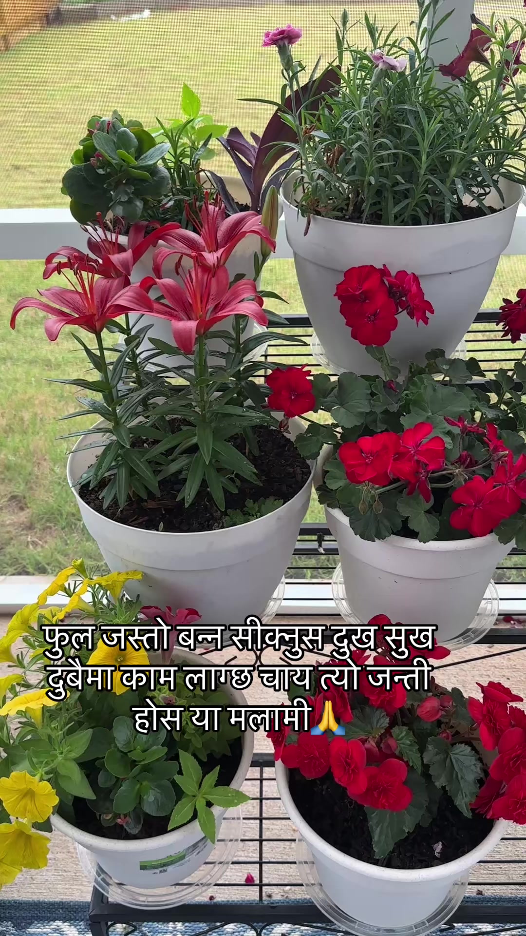@Manju neupane45🇳🇵🇺🇸