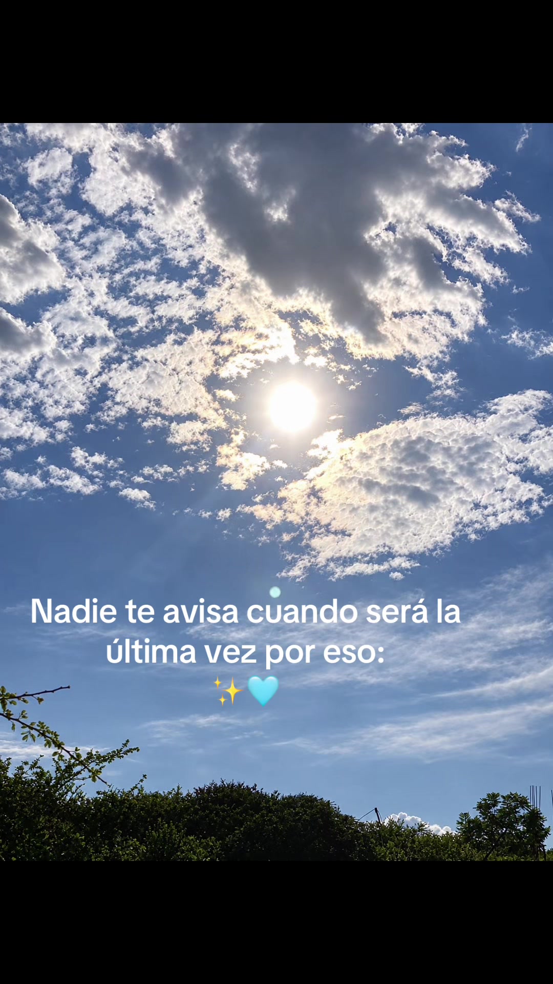 @Cinthia Haro Sotelo💙🦋