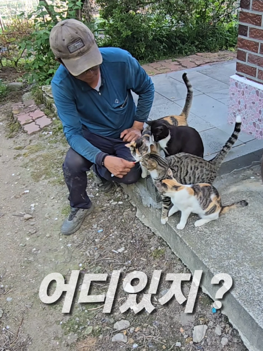 @유튜브 윤파머 납작복숭아