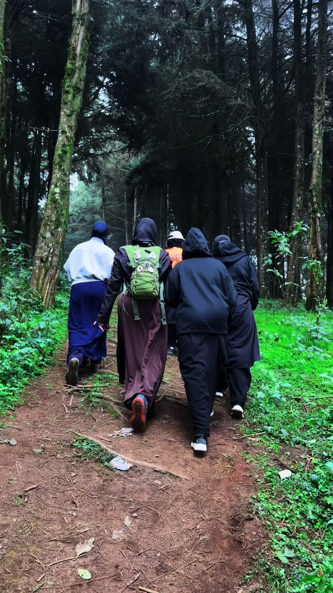 @HikinG_GiantS