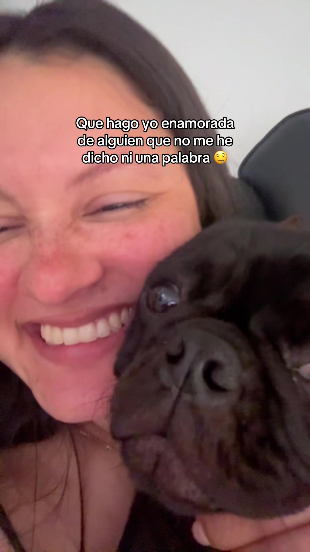 @BRUNNA PUG | PET LIFESTYLE 🐾