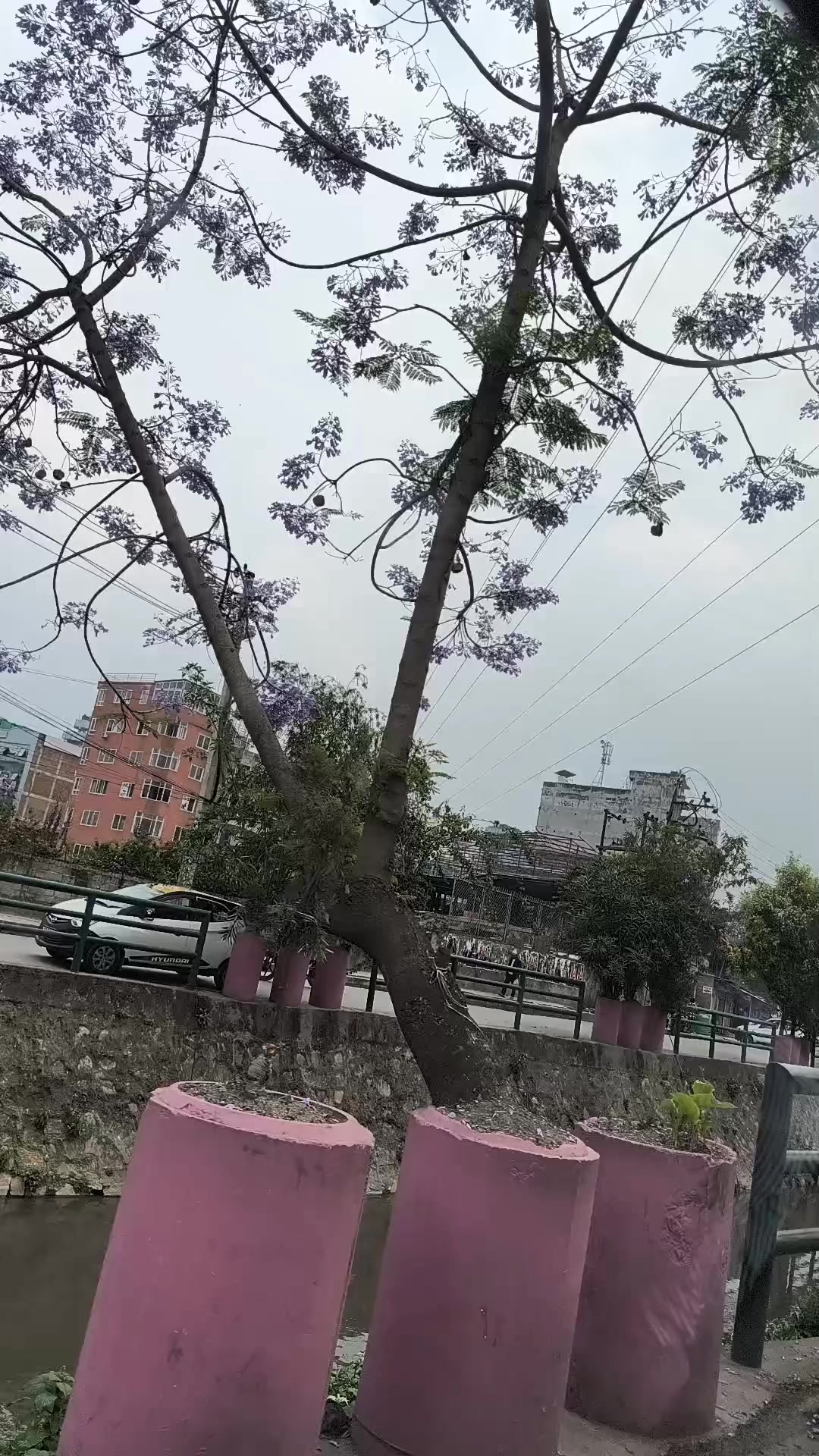 @Numa Limbu