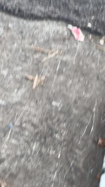 @asgrdn