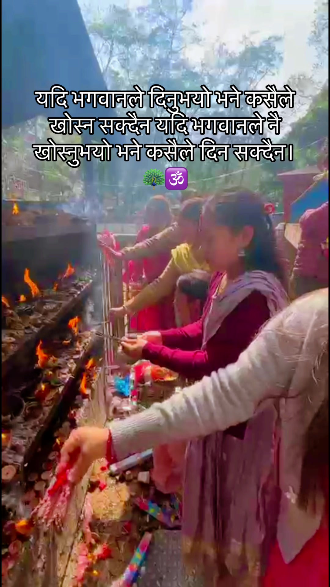 @Anisha rai