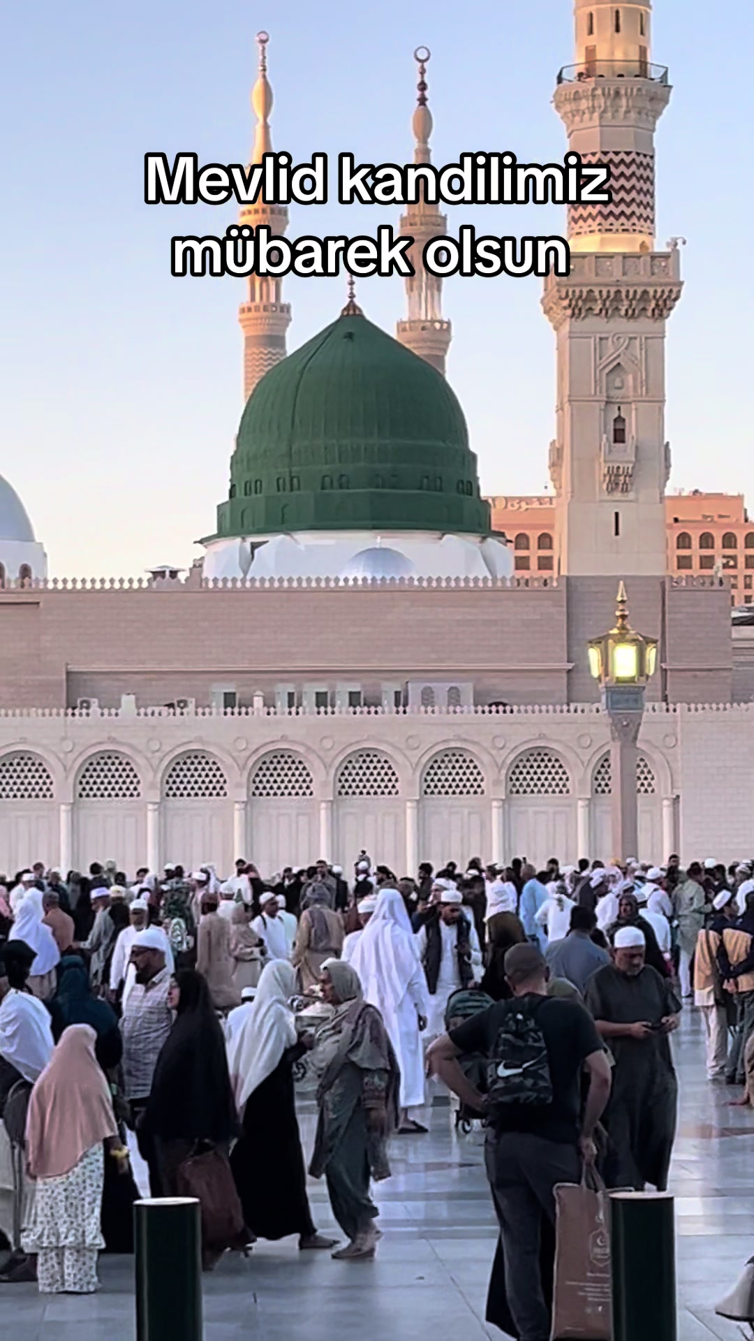 @hayalimm.