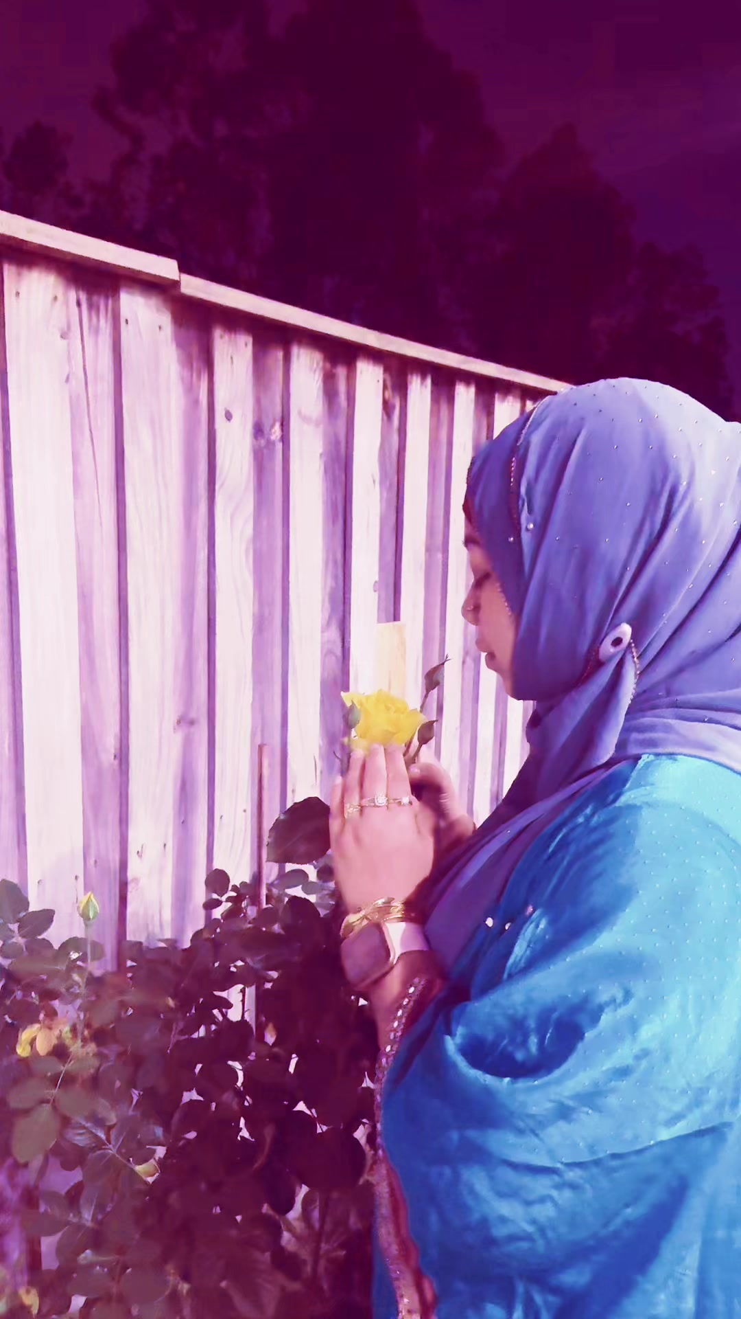 @HOSNE JAHAN(Farjana)