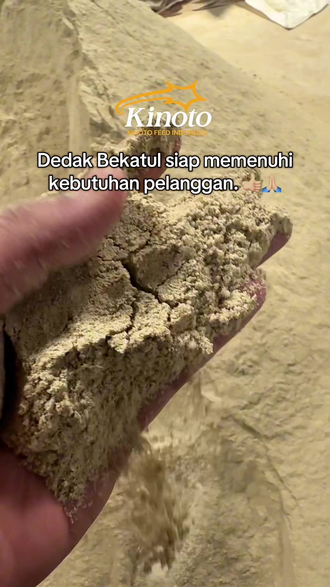 @CV. KINOTO FEED INDONESIA