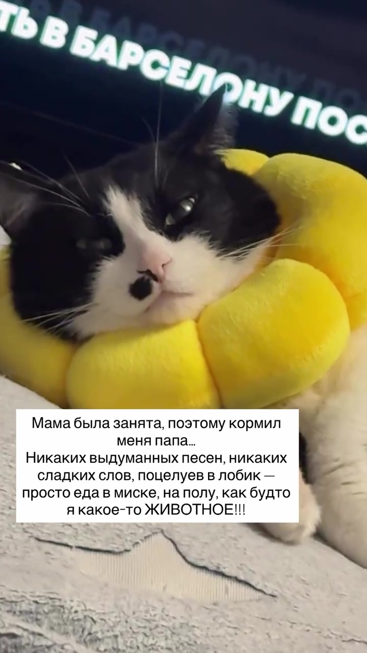 @ELENA AND 2CATS
