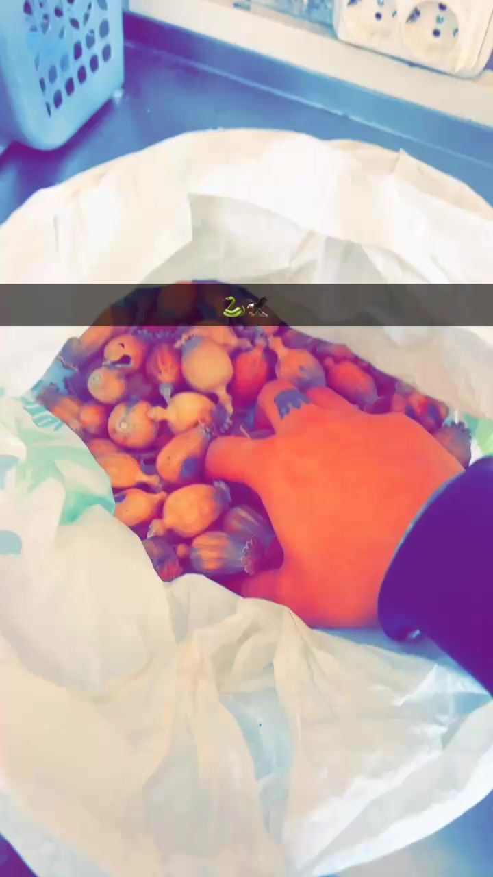 @Vickycheema395