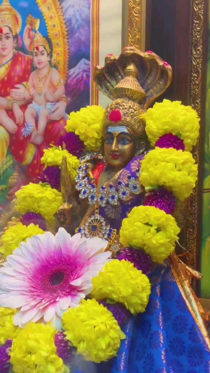 @Varsha Sree