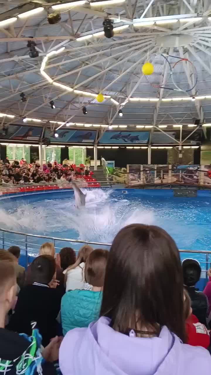@Елена
