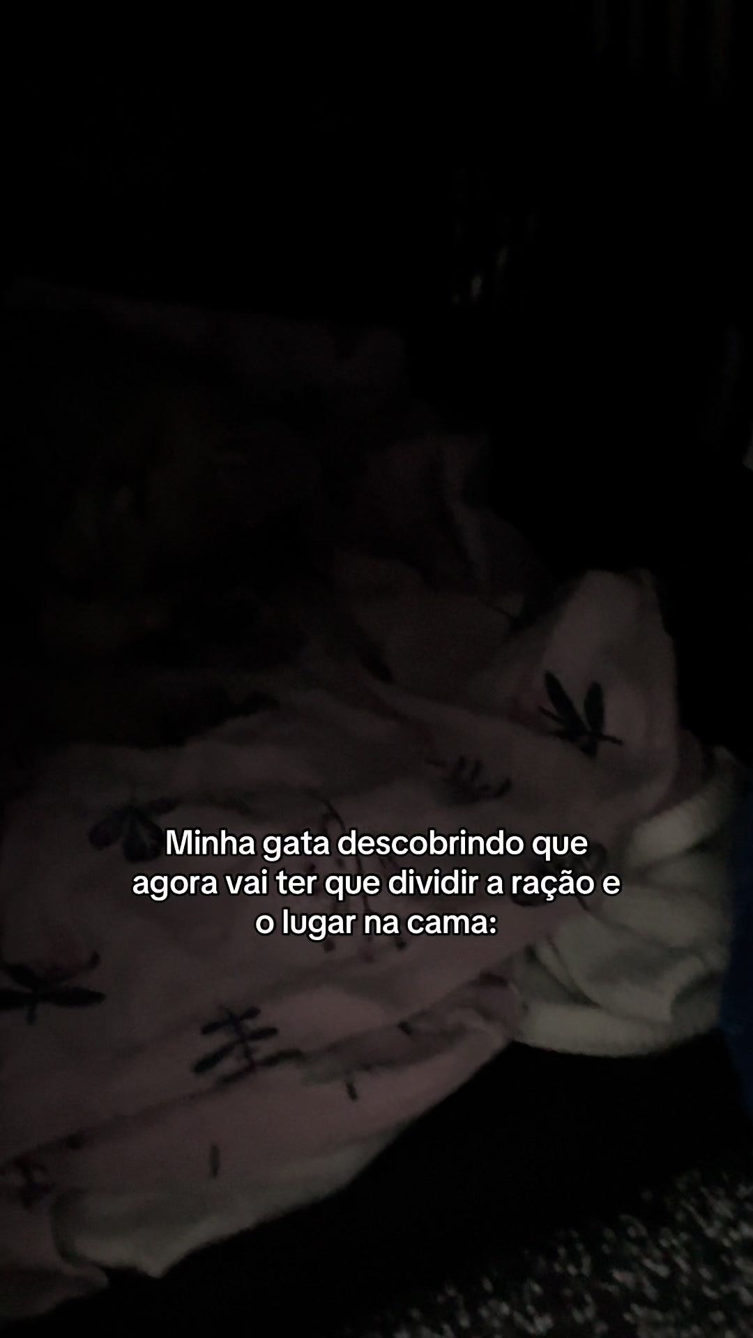 @eugabistecaa