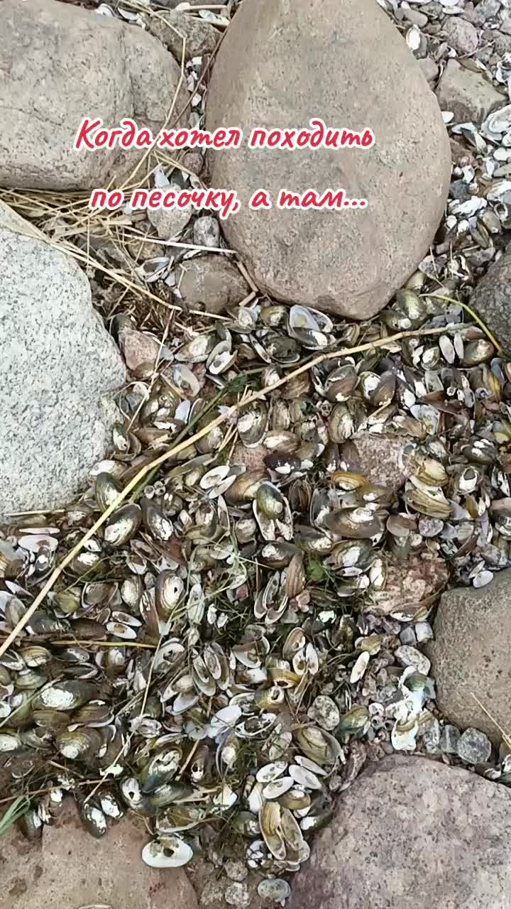 @user2278096979685