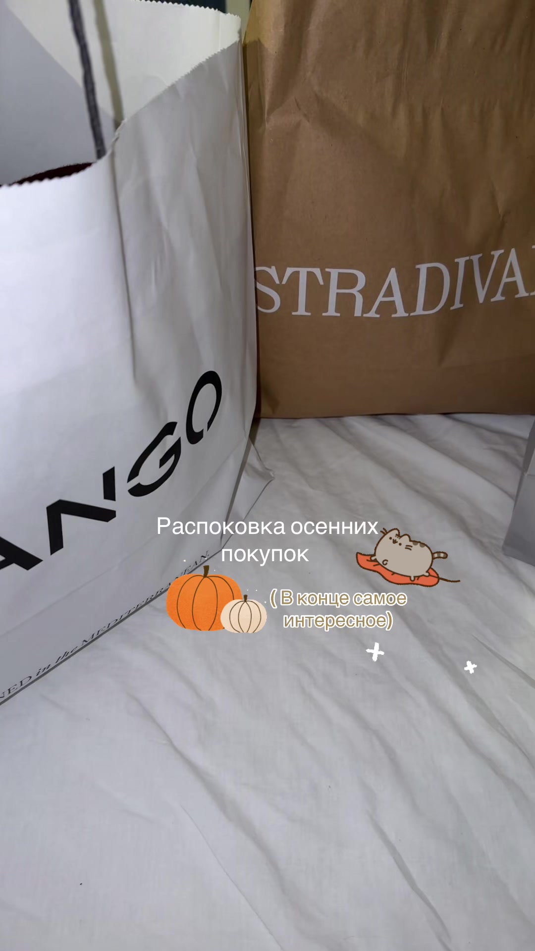 @𝑲𝒔𝒚𝒖𝒔𝒉𝒂🤍