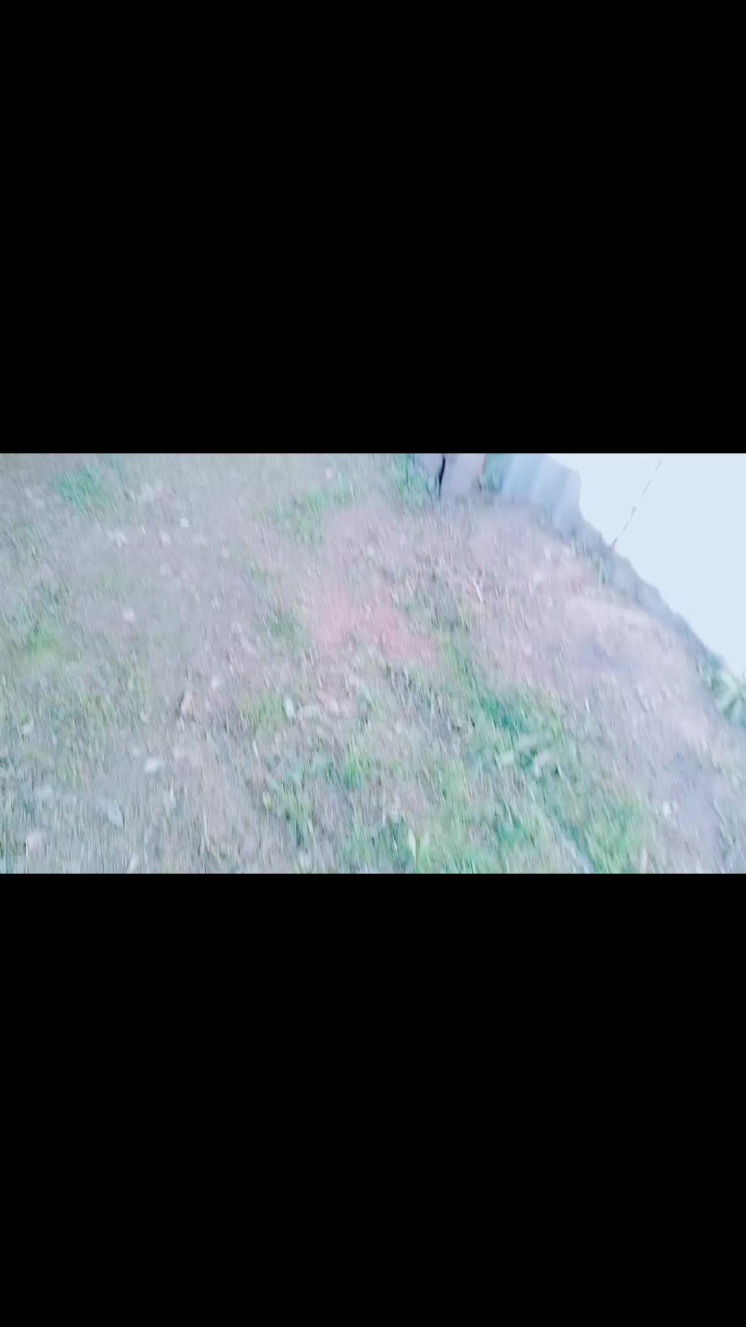 @Alphags04GA