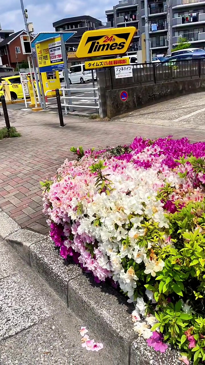 @Wasim Aslam 🇵🇰. 🇯🇵