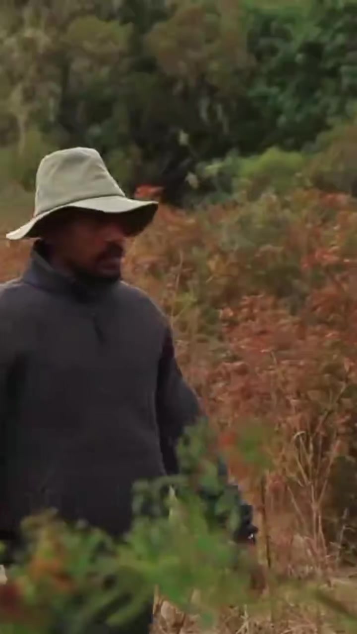 @ሳራይቱ የአብርሃም ሚስት🌸