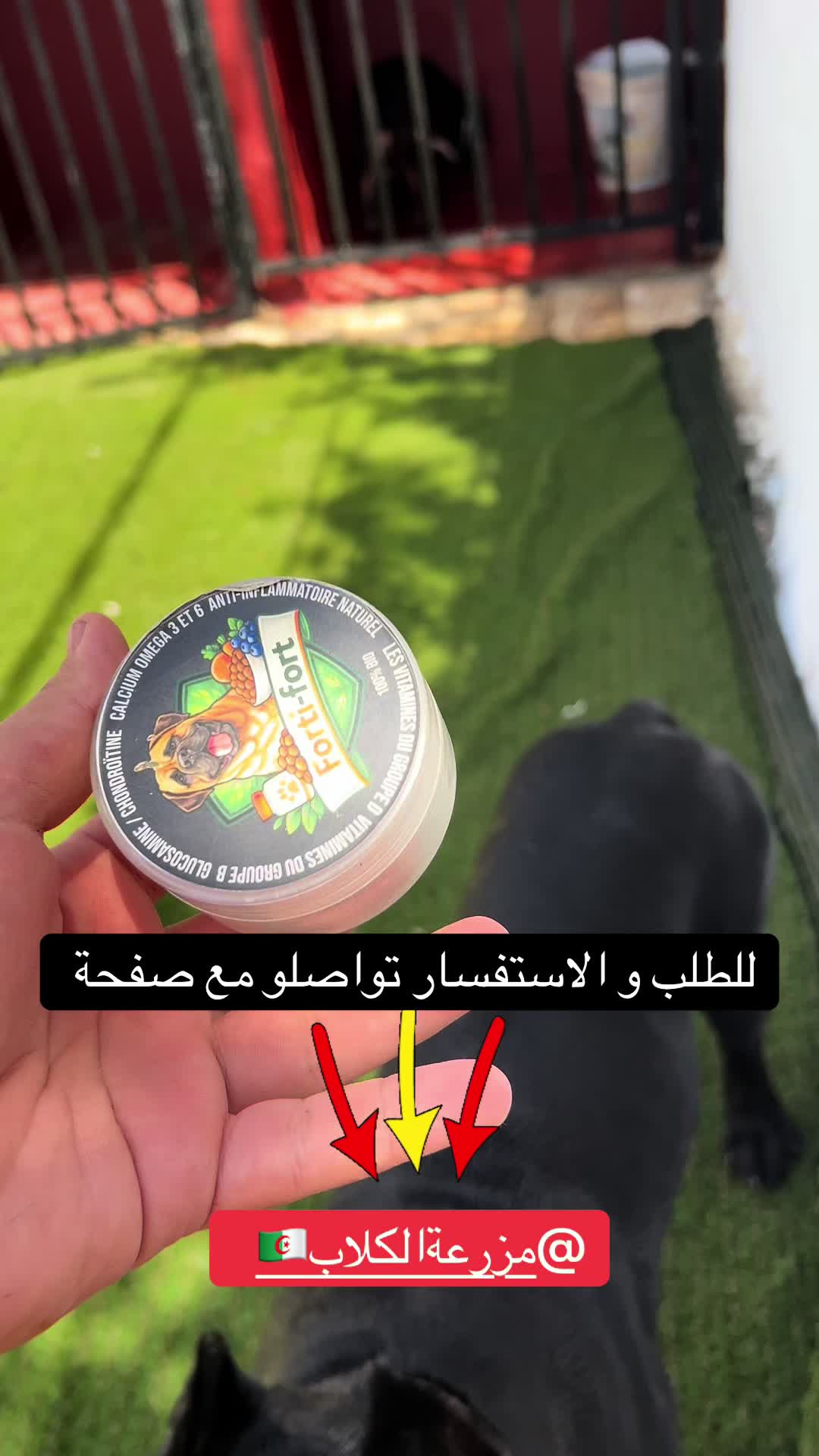 @عصابة كلاب الدوڨو&البيتبول🔥