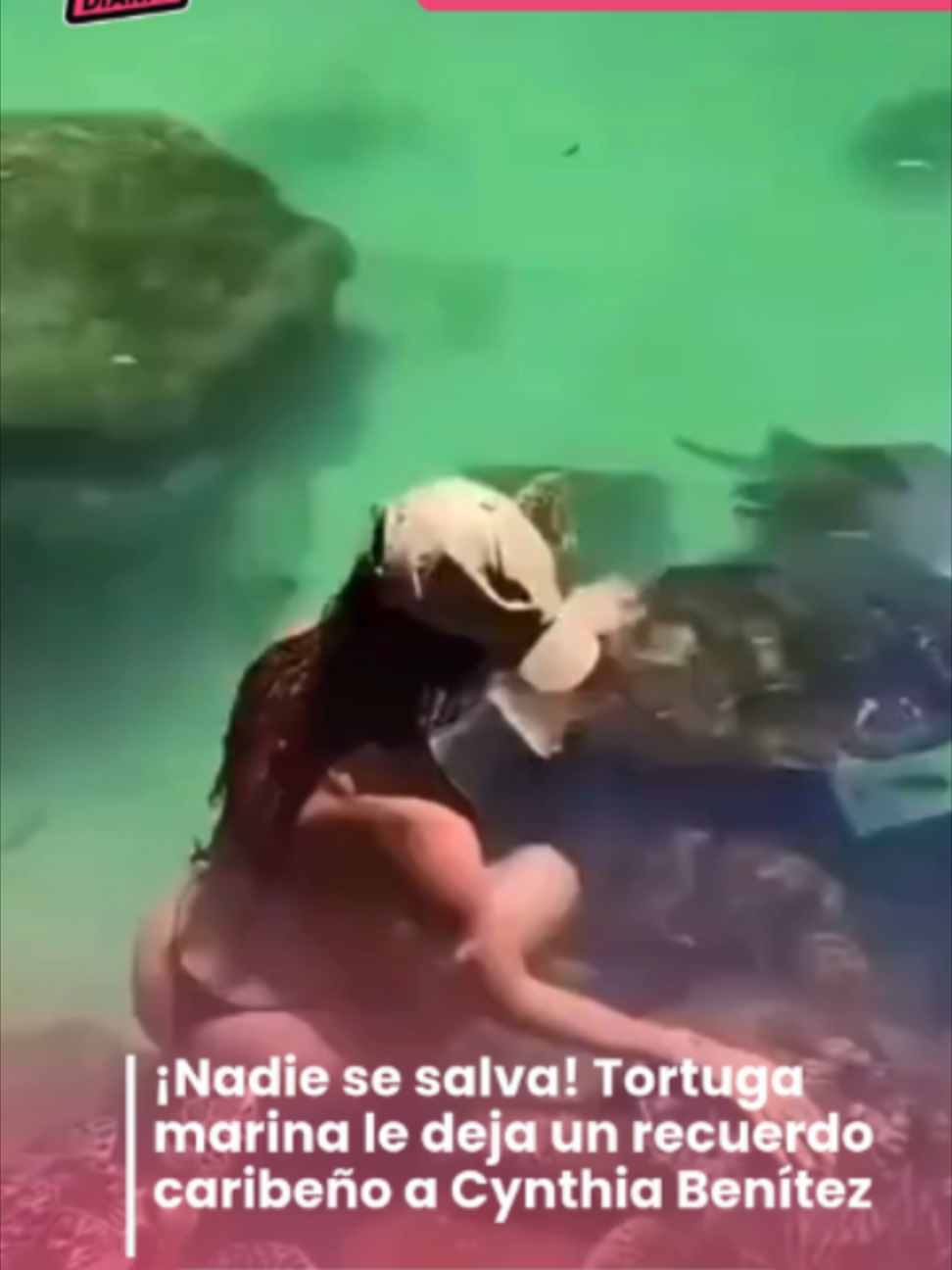 @Cool Diario