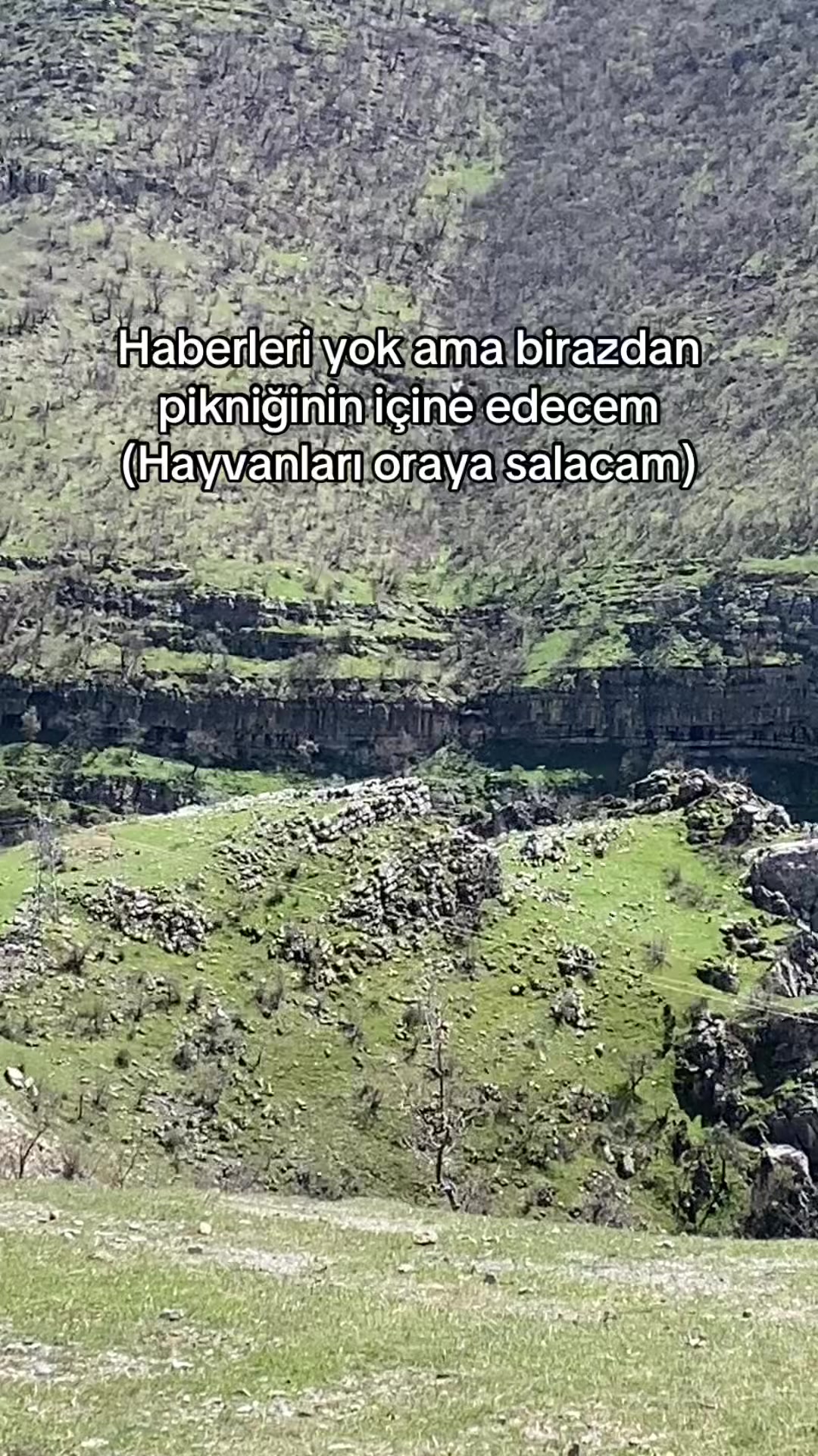 @Behcet Kaplan✪