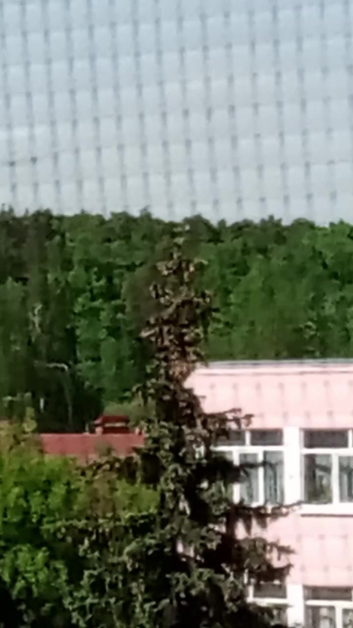 @Настька 🦩🌷