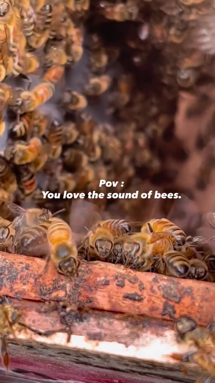 @maduclb🍯