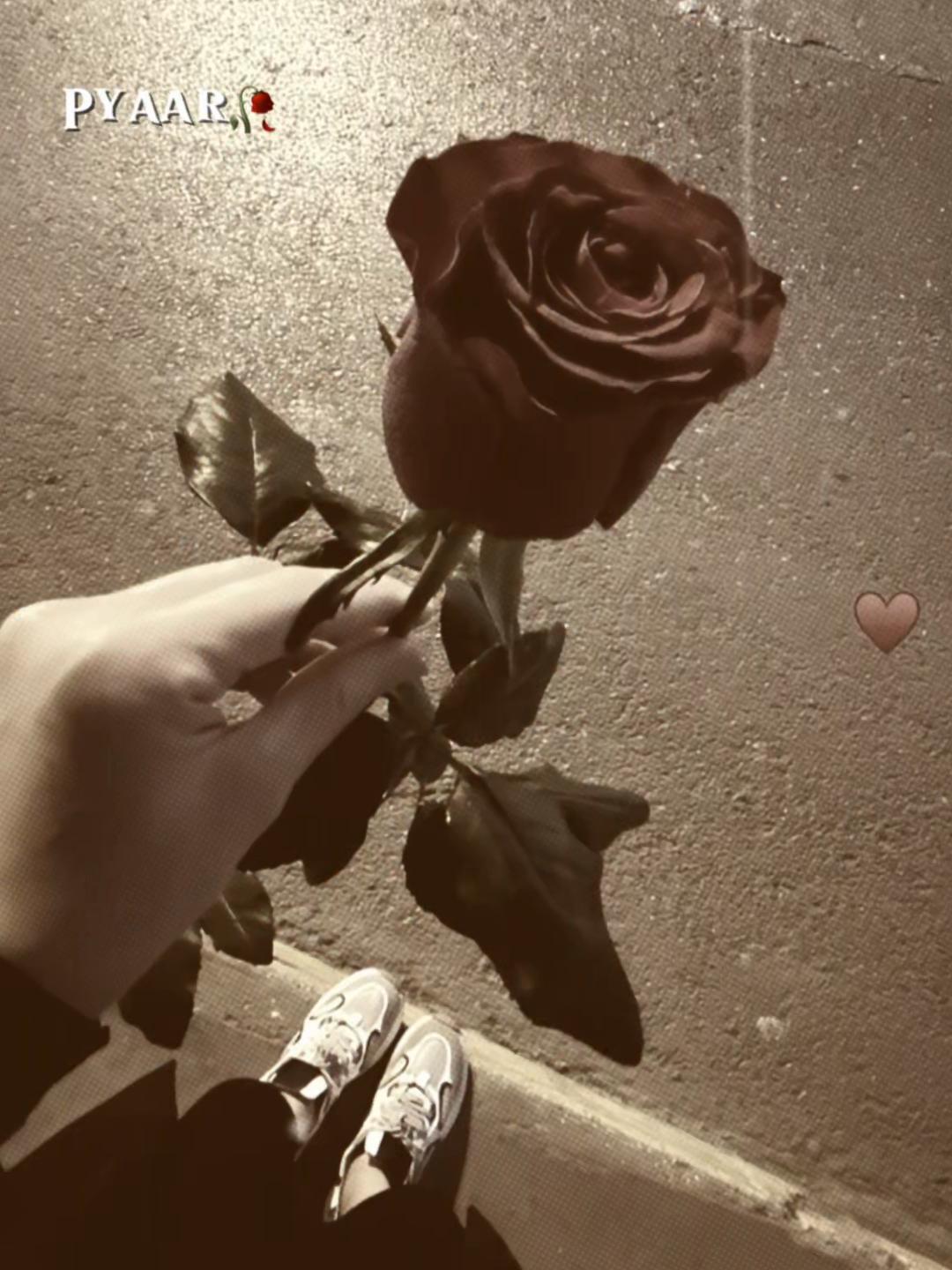 @Noor ❤ SoSo