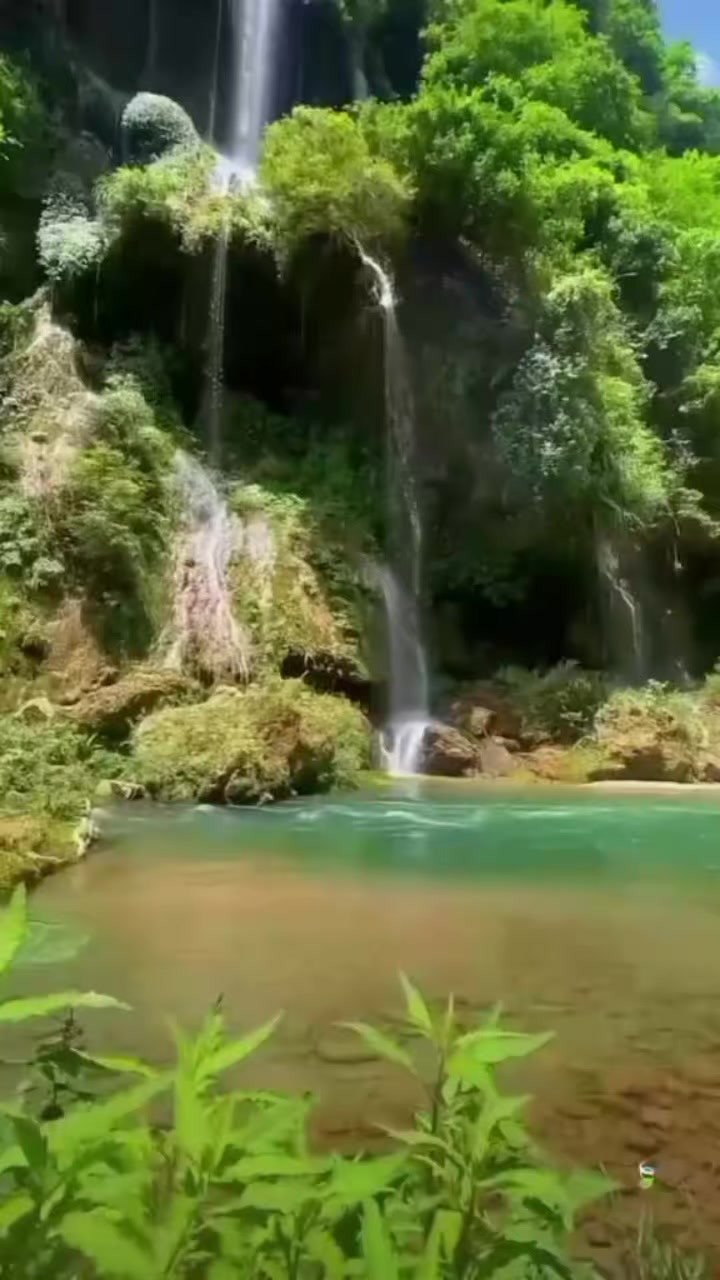 @limonçiçeği